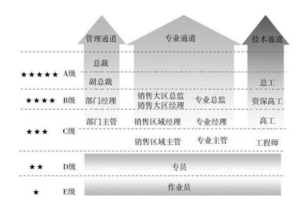 员工激励与发展体系优化