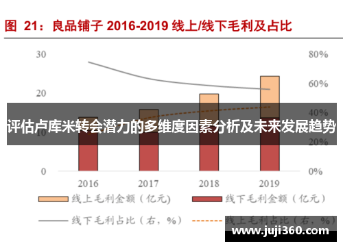 评估卢库米转会潜力的多维度因素分析及未来发展趋势